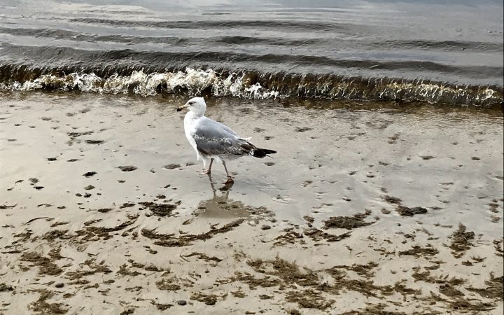 Trübe Gedanken