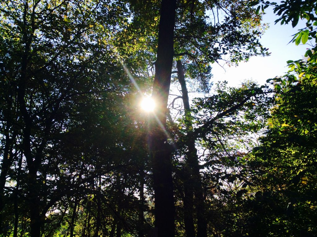 Ein Sonnenstrahl
