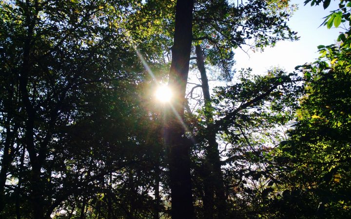 Ein Sonnenstrahl