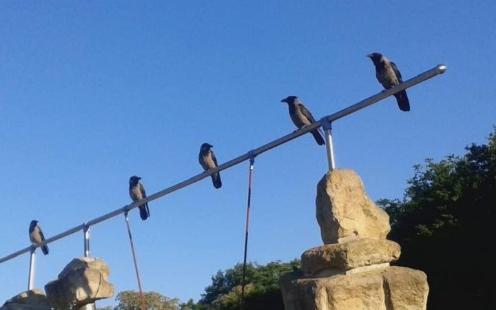 Sicherheit durch Distanz