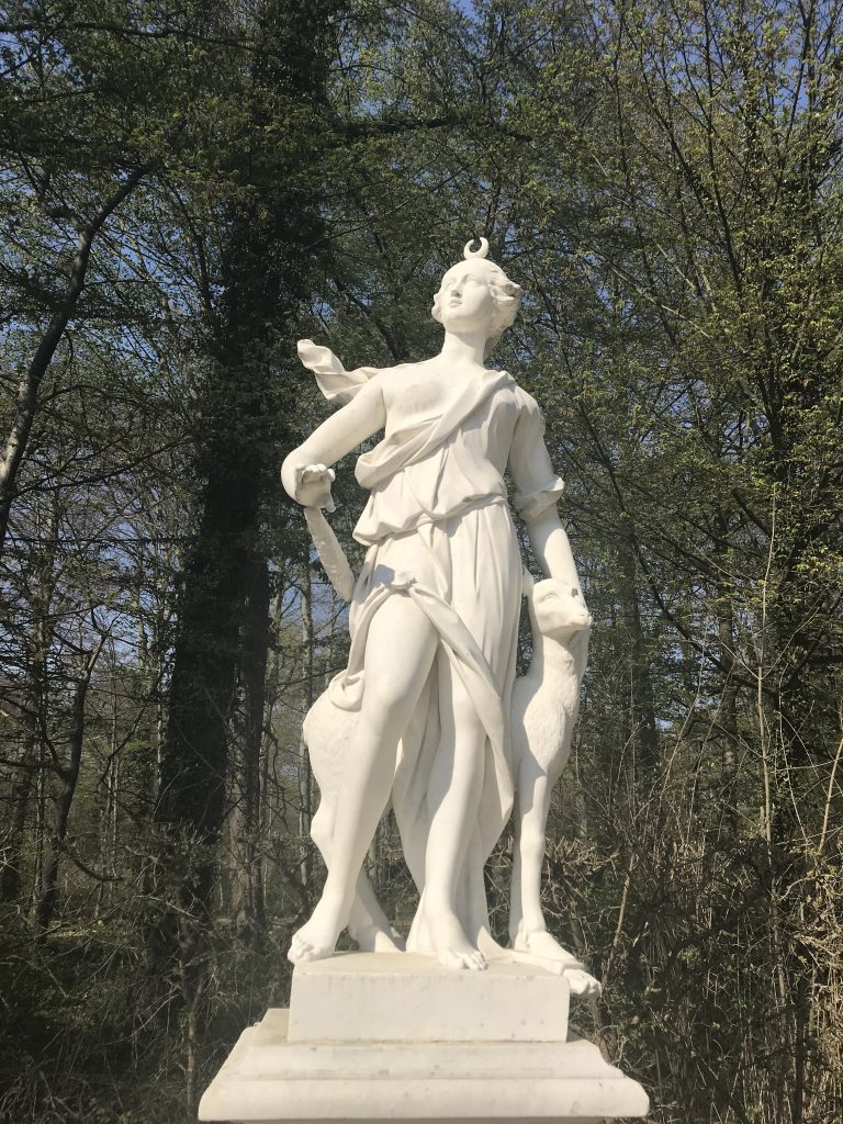 Bewußtsein
