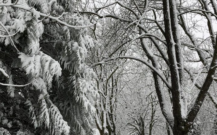 Eiskalter Wind …
