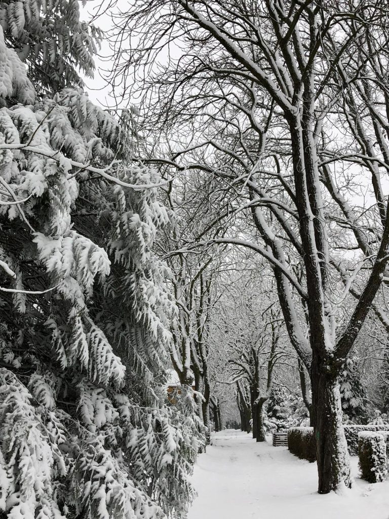 Eiskalter Wind …