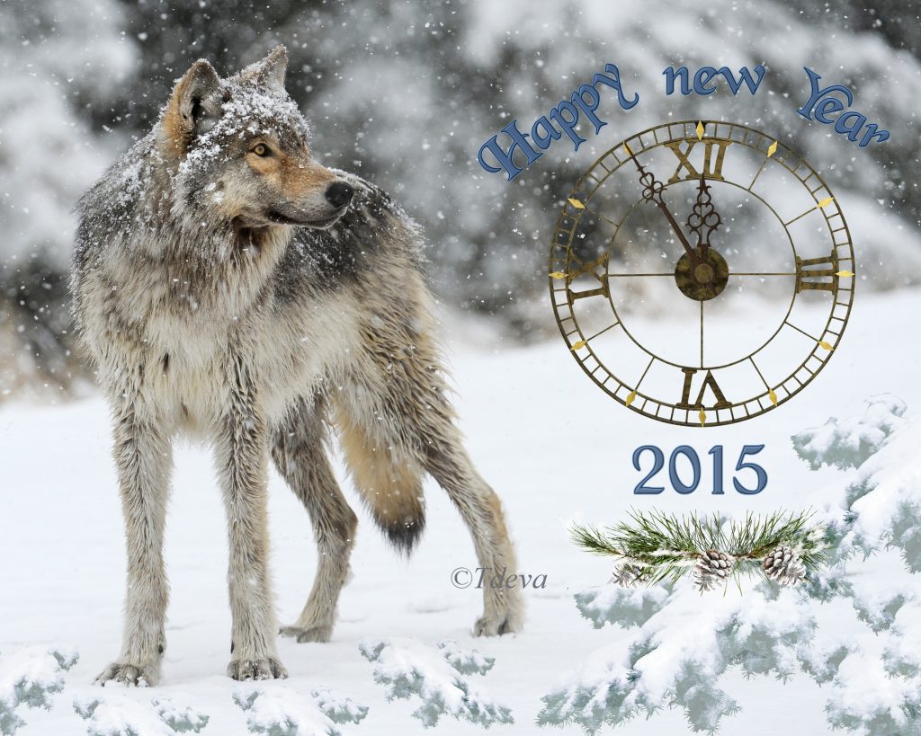 Happy New Year