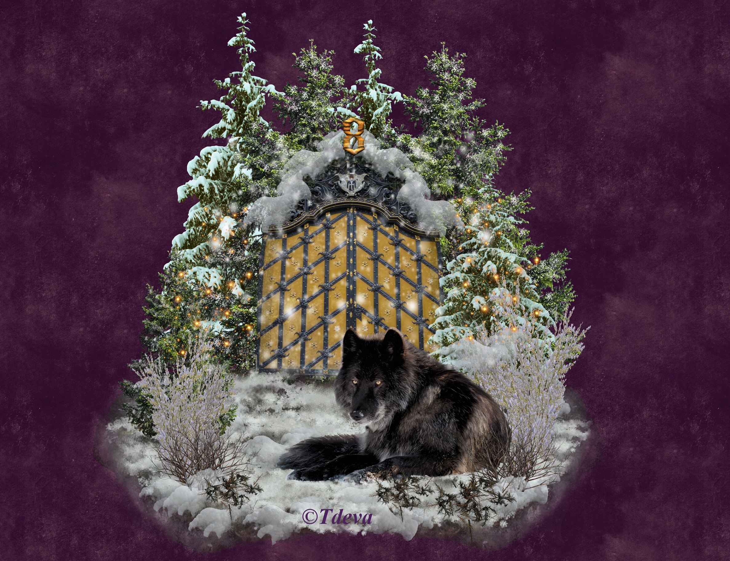 8. Dezember