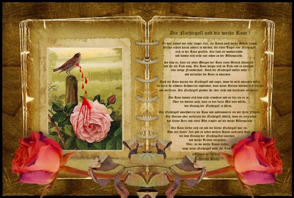 Die Nachtigall und die weiße Rose