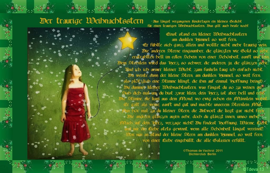 Der traurige Weihnachtsstern