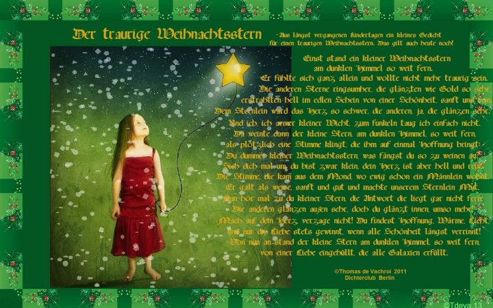 Der traurige Weihnachtsstern