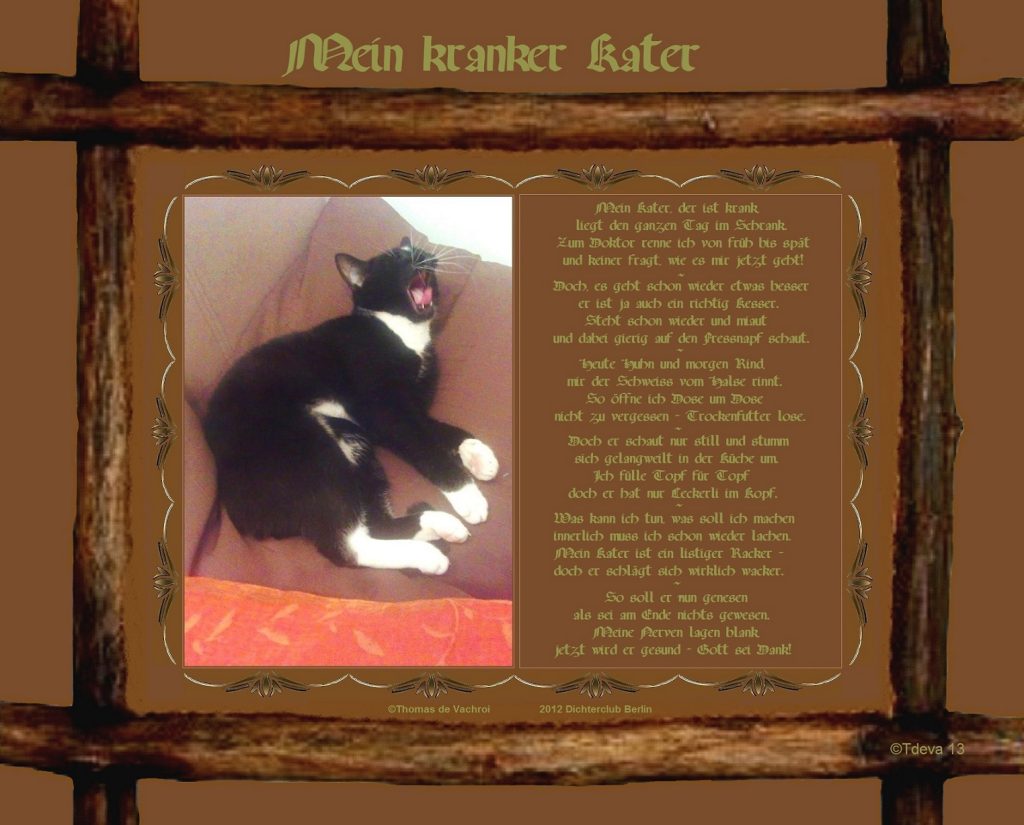Mein kranker Kater