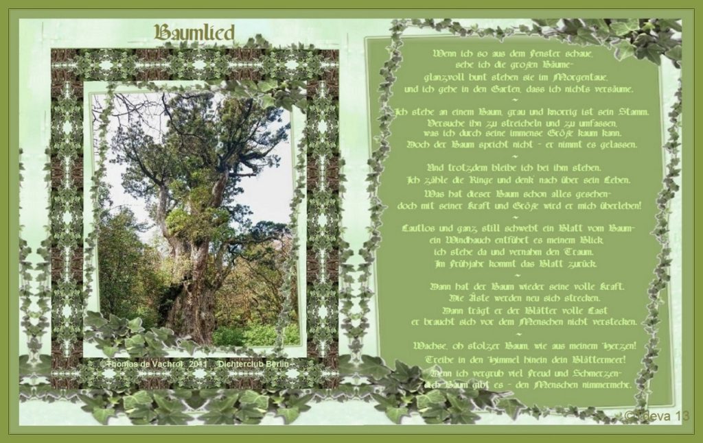 Baumlied