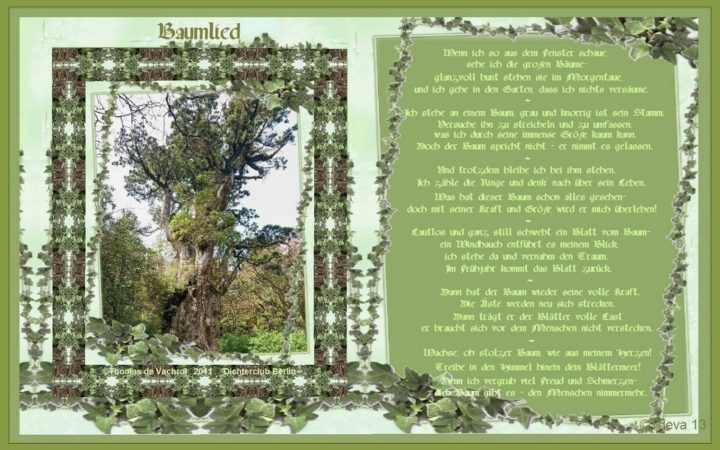 Baumlied