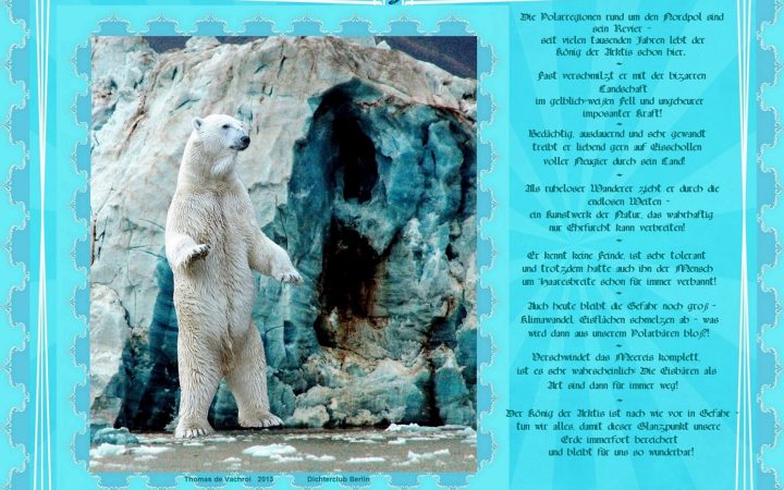 Der König der Arktis