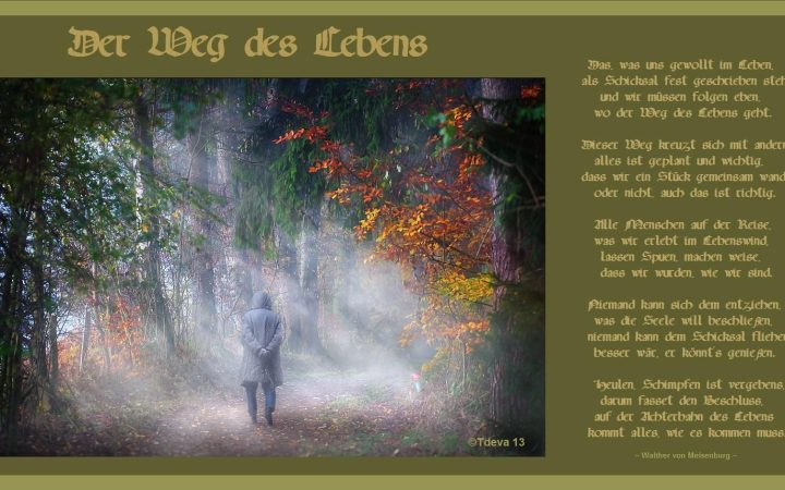 Der Weg des Lebens