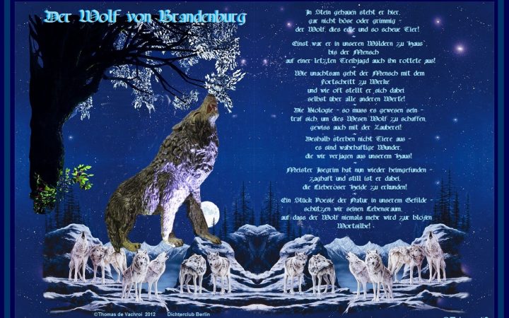 Der Wolf von Brandenburg