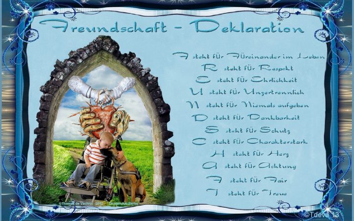 Freundschaft – Deklaration