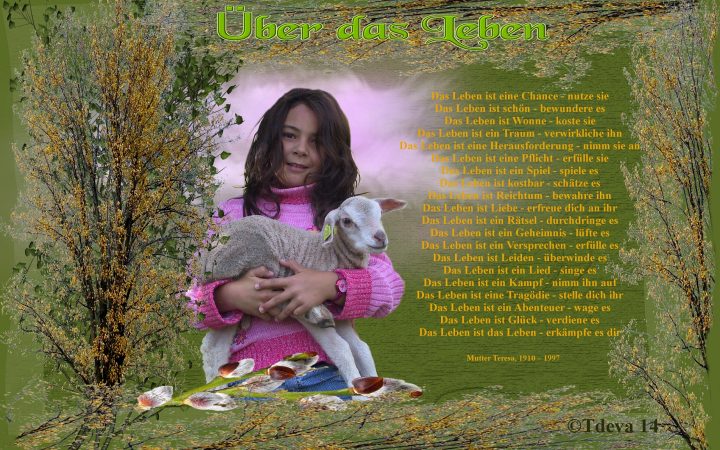 Über das Leben!