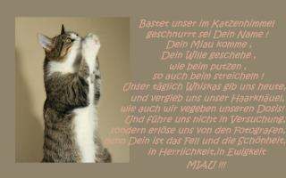 Mein Katzengebet!