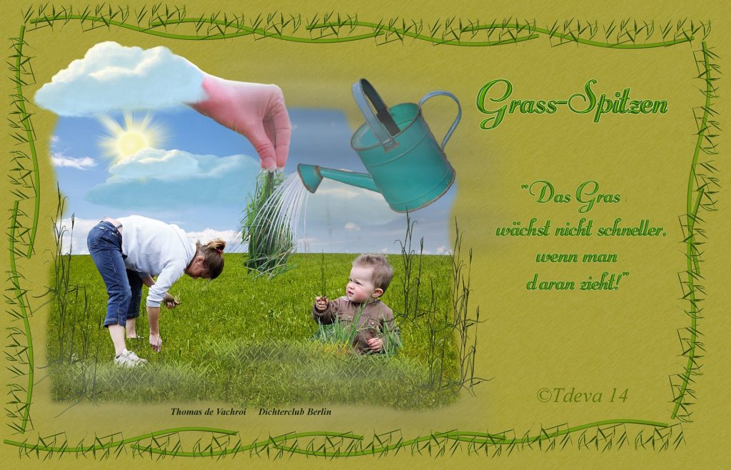Grass-Spitzen