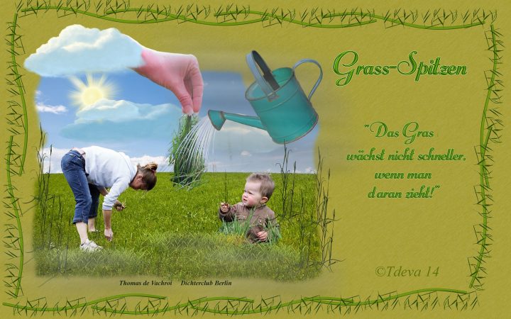 Grass-Spitzen