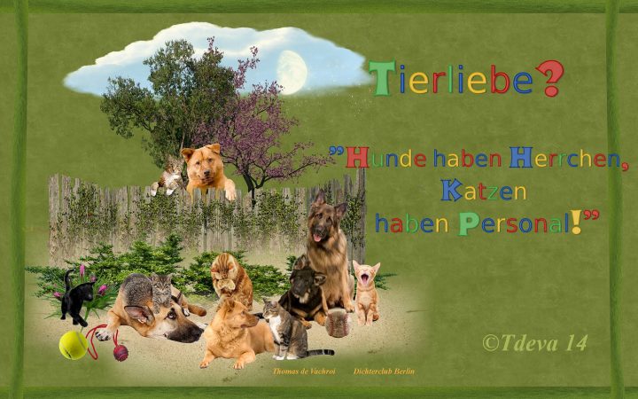 Tierliebe