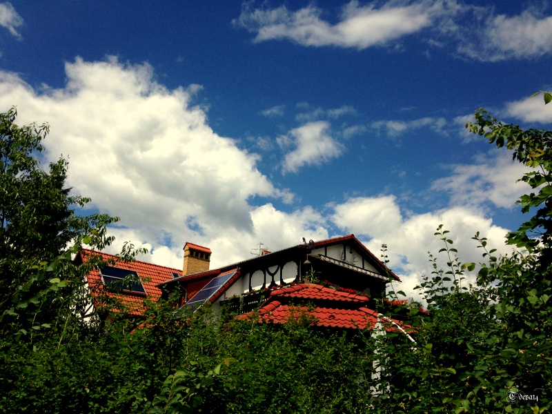Rosenbergpension Grün