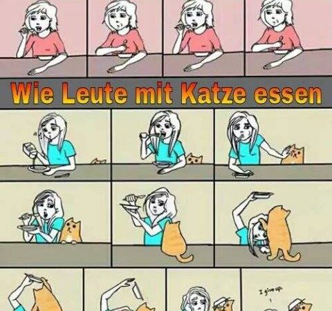 Meine Katze und ich sind ein Team!