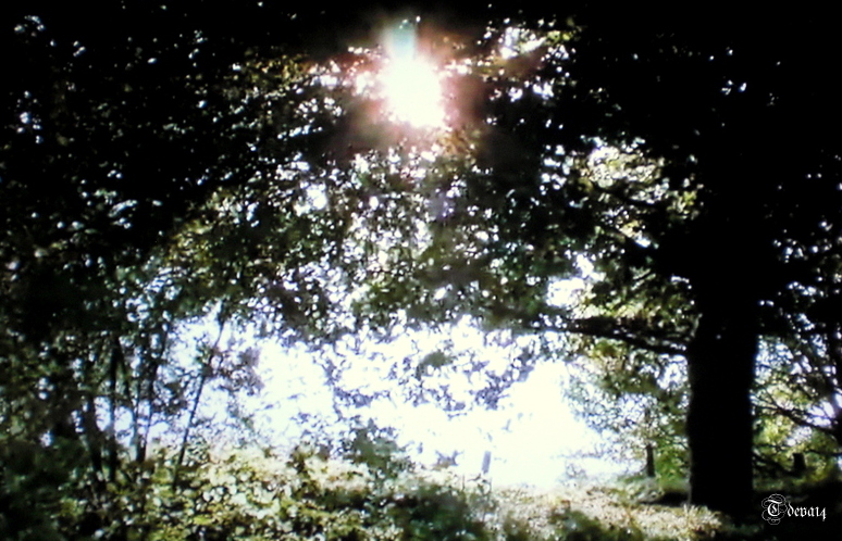Britzer Garten