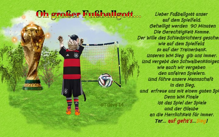 Wir sind Weltmeister