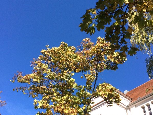 Herbstimpressionen Berlin – Rund um den Hohenzollerndamm –