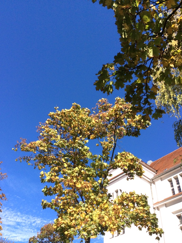 Herbstimpressionen Berlin – Rund um den Hohenzollerndamm –