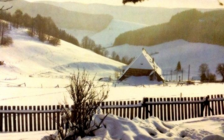 Der ersehnte Winter!