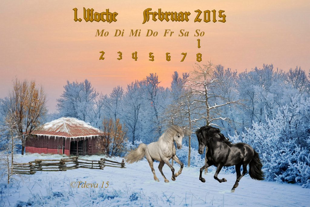 Vachroi’s Jahreskalender 6.KW