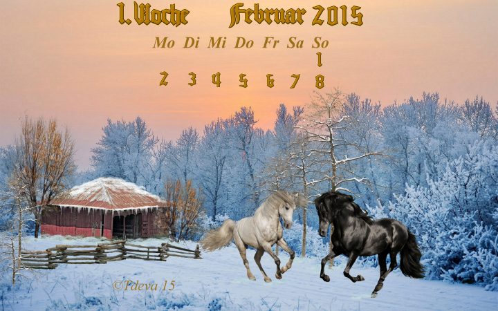 Vachroi’s Jahreskalender 6.KW