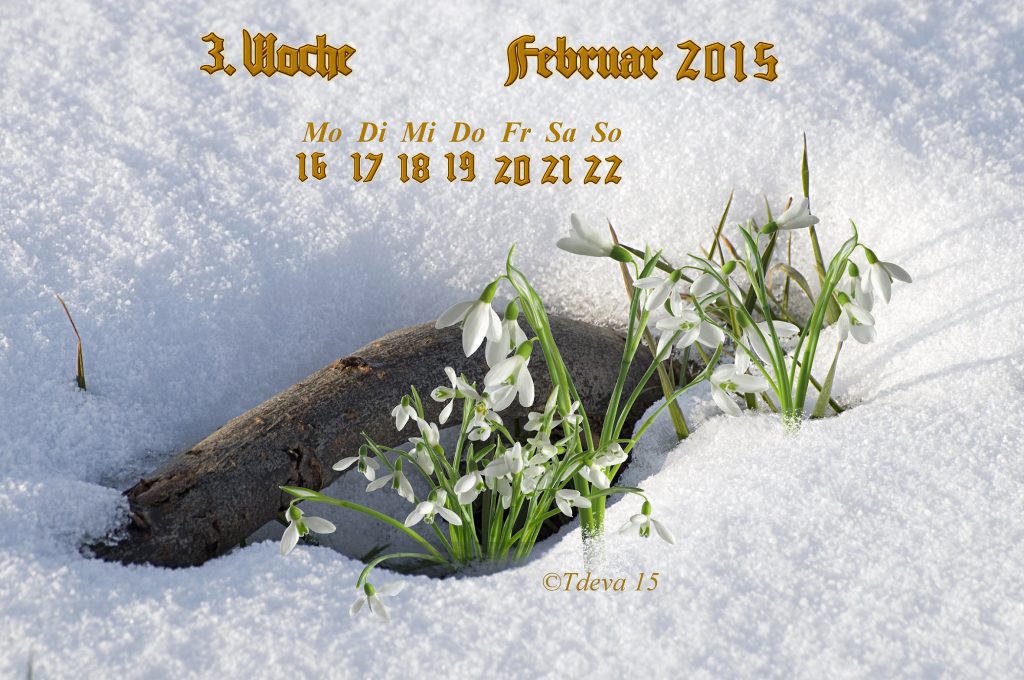 Vachroi’s Jahreskalender 2015 – 8.KW