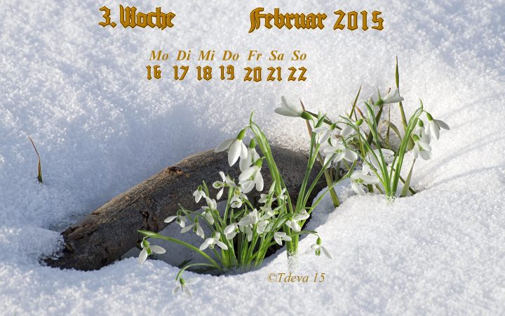 Vachroi’s Jahreskalender 2015 – 8.KW