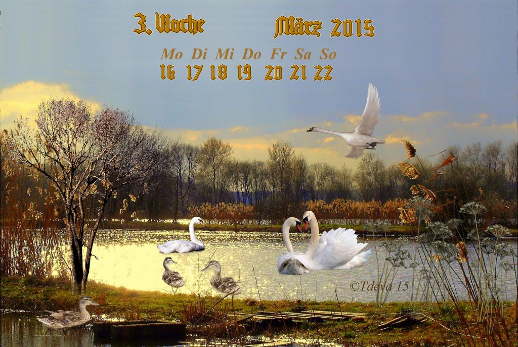 Vachroi’s Jahreskalender – 12. KW
