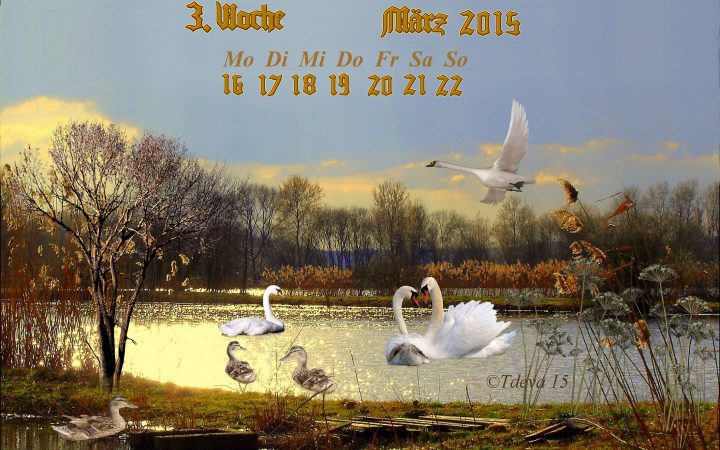 Vachroi’s Jahreskalender – 12. KW