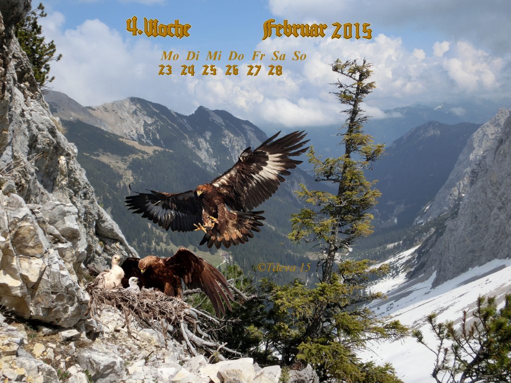 Vachroi’s Jahreskalender 2015 – 9. KW