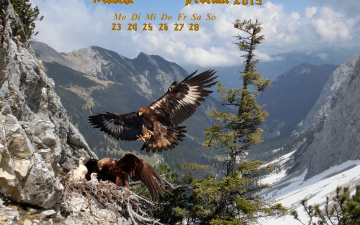 Vachroi’s Jahreskalender 2015 – 9. KW