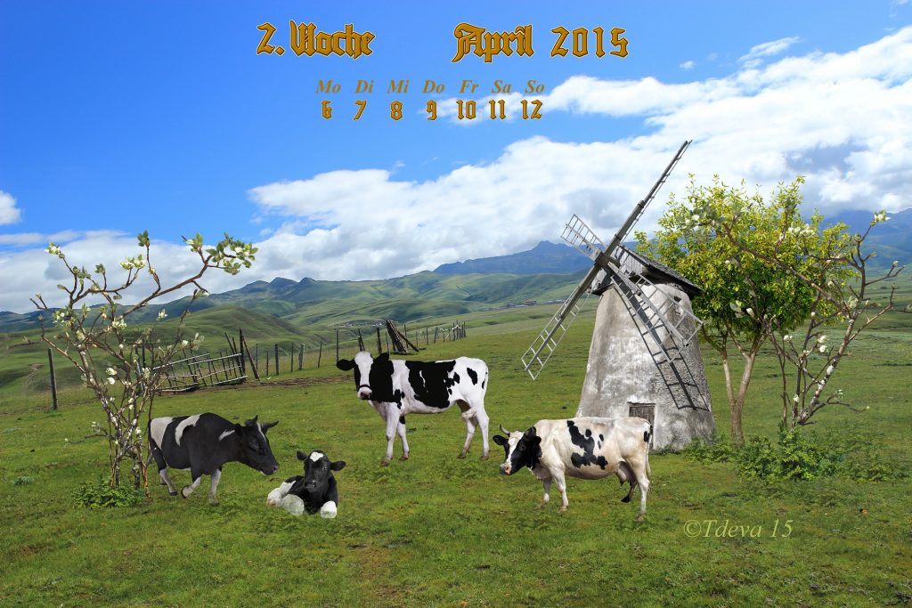 Vachroi’s Jahreskalender – 15.KW