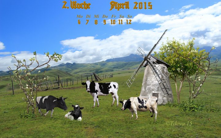 Vachroi’s Jahreskalender – 15.KW