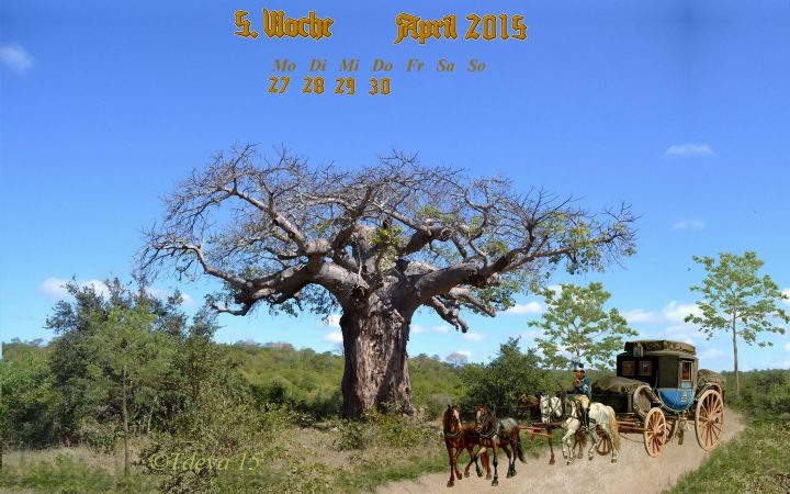 Vachroi’s Jahreskalender 2015 – 18.KW