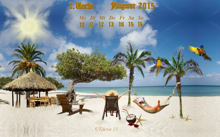 Vachroi’s Jahreskalender – 2015 – 33. KW
