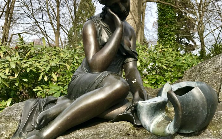 Wenn Bäume sterben – stirbt die Natur