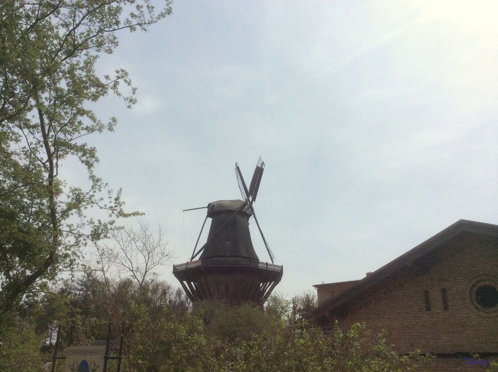 Spaziergang in Sanssouci 2015