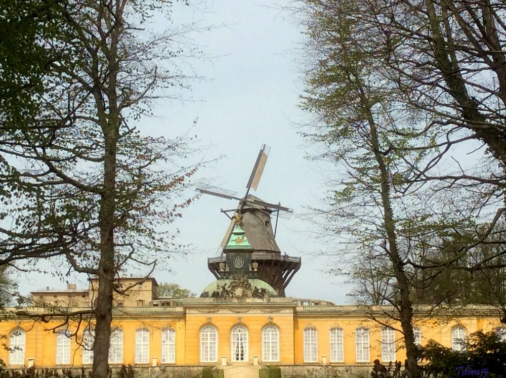 Spaziergang in Sanssouci 2015