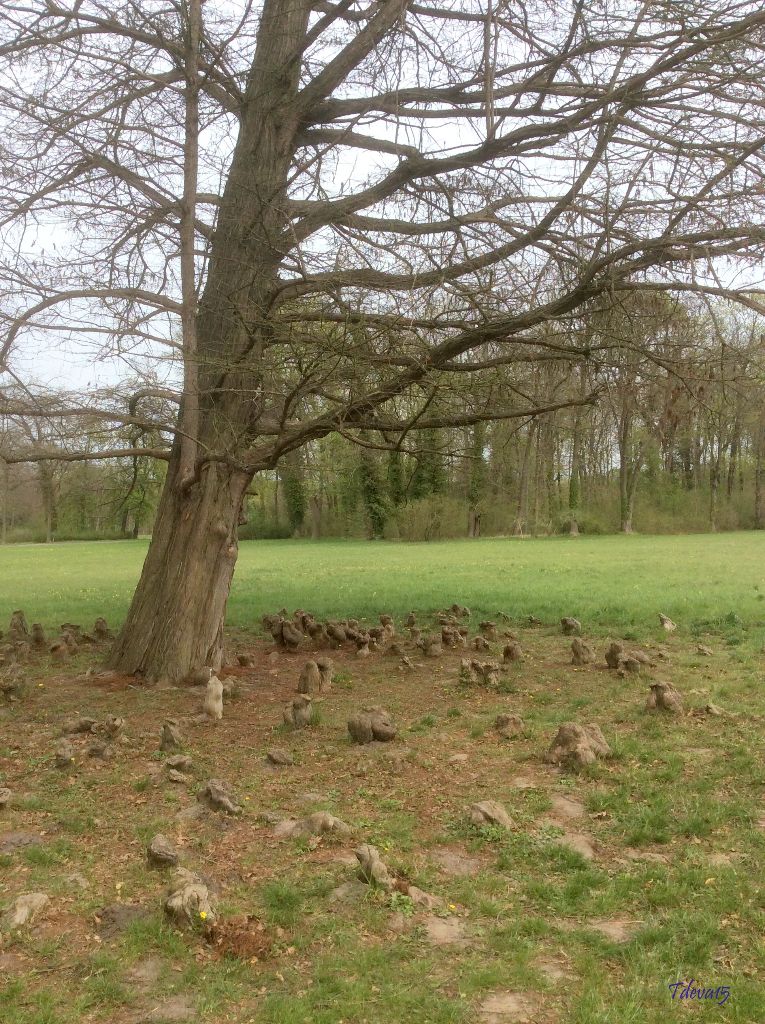Spaziergang in Sanssouci 2015