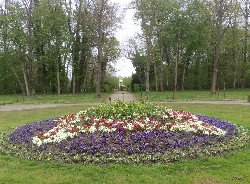 Spaziergang in Sanssouci 2015