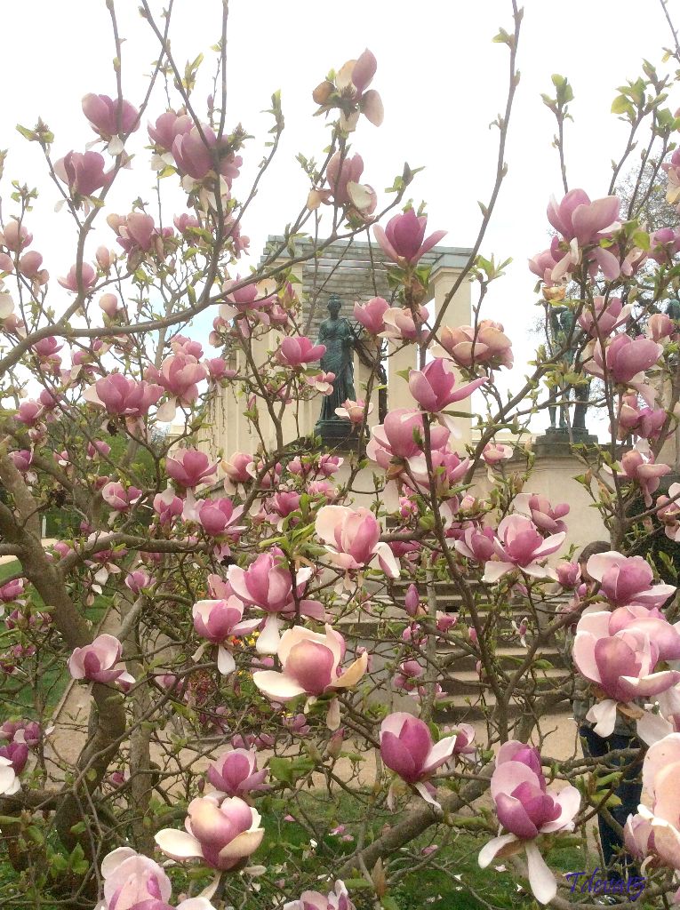 Spaziergang in Sanssouci 2015