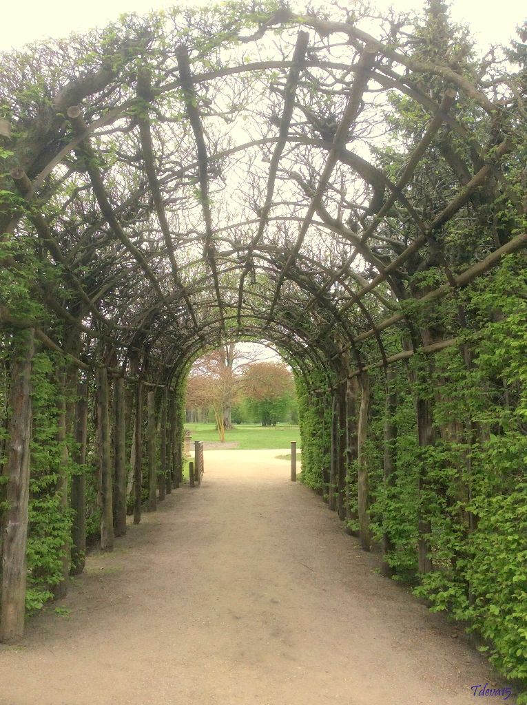 Spaziergang in Sanssouci 2015